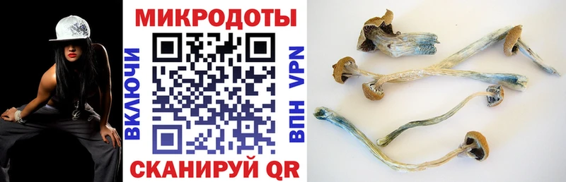 Псилоцибиновые грибы Magic Shrooms  Купить где  Красавино 